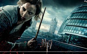 Harry Potter and the Deathly Hallows 1